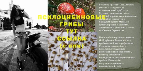 героин Алзамай