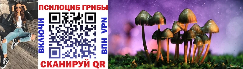 OMG tor  Новоузенск  Галлюциногенные грибы Magic Shrooms 